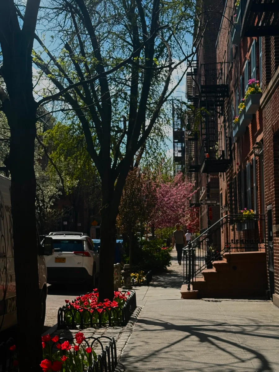 A nice weather day in NYC